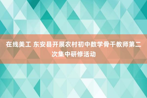 在线美工 东安县开展农村初中数学骨干教师第二次集中研修活动