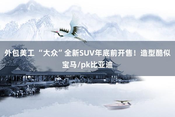 外包美工 “大众”全新SUV年底前开售！造型酷似宝马/pk比亚迪